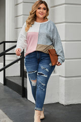 Plus Size Cable Knit Colorblock Top