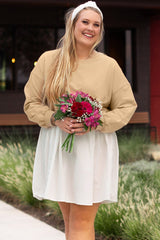 Plus Size Color Block Patchwork Mini Dress